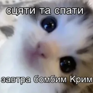 Стикер Пісяти й спати - 5