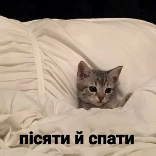 Стикер Пісяти й спати - 0