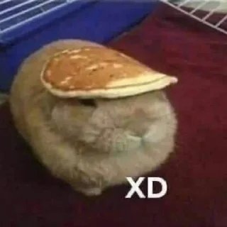 Sticker Пельменоиды @gimido - 6