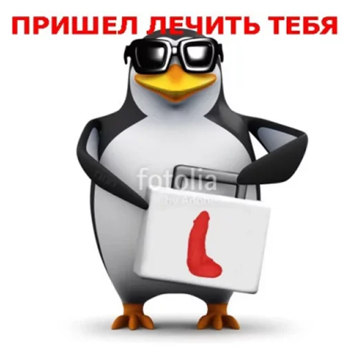 penguin cartoon bird