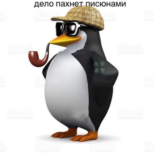 aquatic bird bird penguin