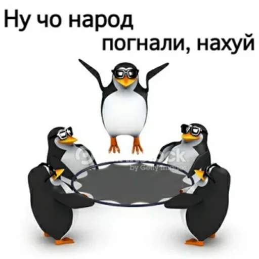 penguin aquatic bird flightless bird