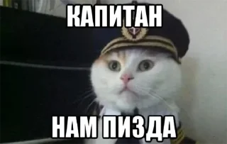 Sticker 🤡🤡🤡🙋‍♂️🇧🇧🇧🇧🇧🇧Pussy🇨🇾ГЕЙПОРНО - 2