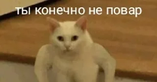 Sticker 🤡🤡🤡🙋‍♂️🇧🇧🇧🇧🇧🇧Pussy🇨🇾ГЕЙПОРНО - 11