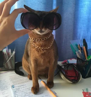 Стикер @amapsychologist - 9