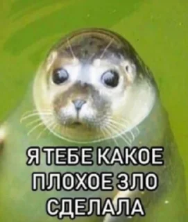 Стикер @amapsychologist - 0