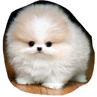 Стикер @amapsychologist - 3