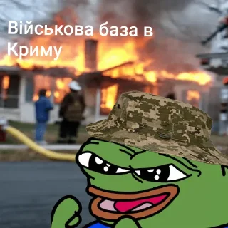 Sticker Жабка Пепе в ЗСУ - 7