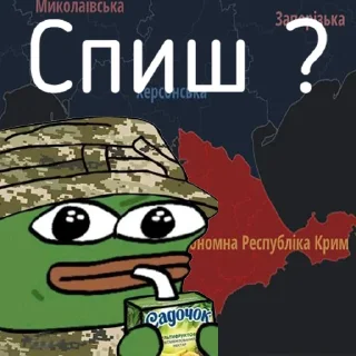 Sticker Жабка Пепе в ЗСУ - 11