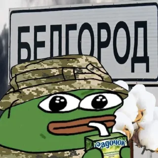 Sticker Жабка Пепе в ЗСУ - 0