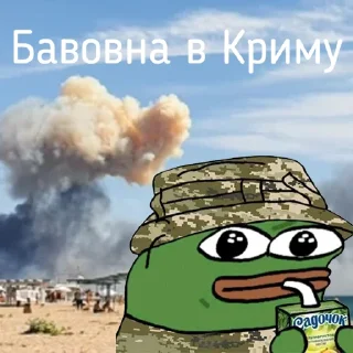 Sticker Жабка Пепе в ЗСУ - 3