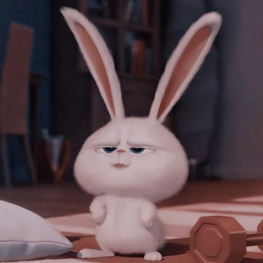 bunny rabbits and hares domestic rabbit