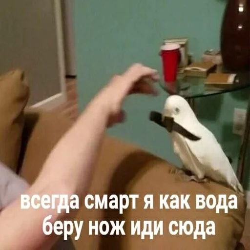 Стикер pepiki by @capboy - 8