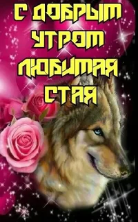 Sticker смішнявки - 6