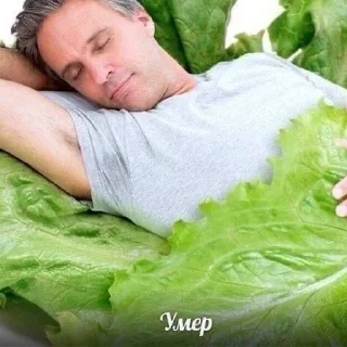 Sticker смішнявки - 8