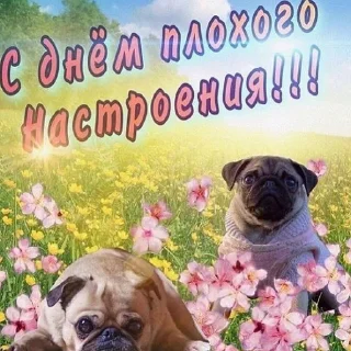 Sticker смішнявки - 7