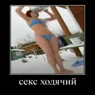 Sticker fsc_dacha - 10