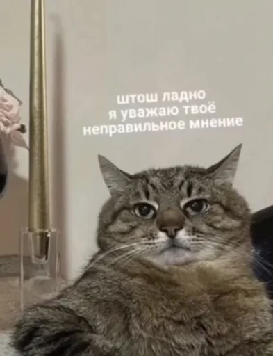 Стикер peregovorivazhnie - 1