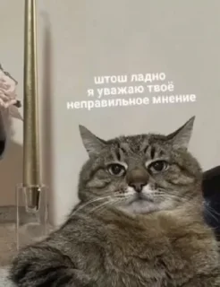 Стикер lol - 11