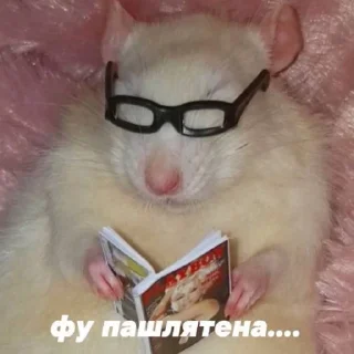 Стикер lol - 6