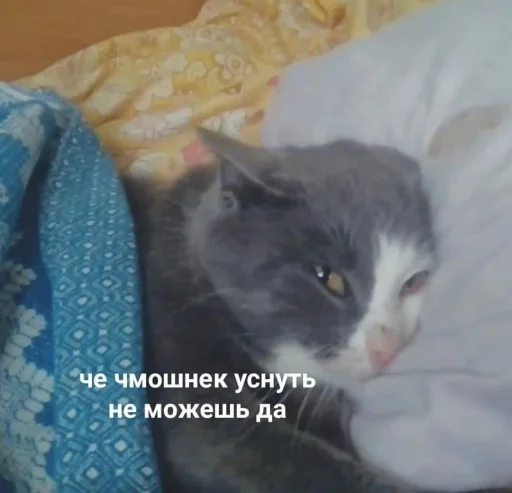 в случае важных переговоров - человеческое лицо