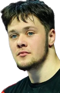 Sticker ПЕРМСКИЕ МЕДВЕДИ 🐻 - 9