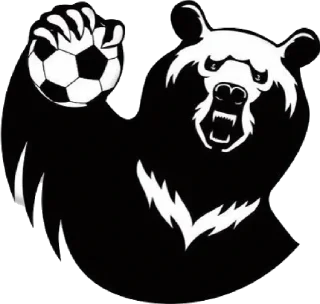 Sticker ПЕРМСКИЕ МЕДВЕДИ 🐻 - 8