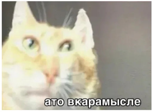 Sticker ПерсичеГ :: @fStikBot - 10