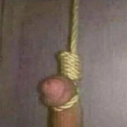 Стикер pervmoy - 1