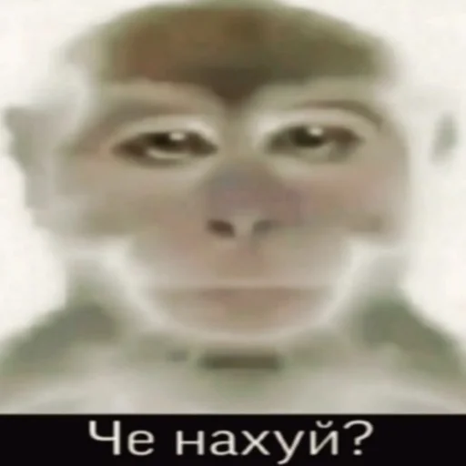 Стикер pervmoy - 1