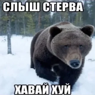 Стикер бля. - 4