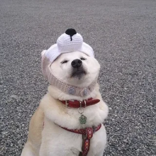 Sticker Пёськи - 3