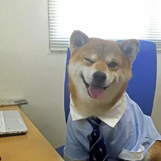 Sticker Пёськи - 4