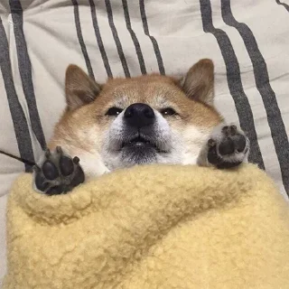 Sticker Пёськи - 0