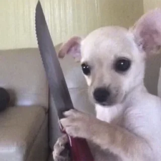 Sticker Пёськи - 10