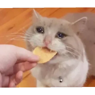 Стикер петрушке - 1