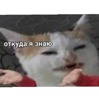 Стикер петрушке - 4