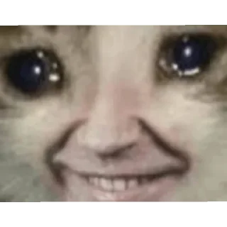 Стикер петрушке - 11