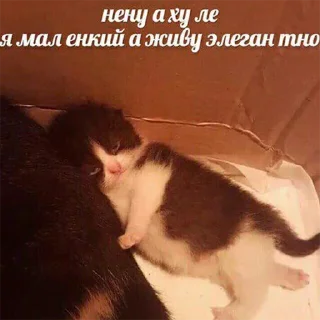 Sticker о привет ты че тут забыл - 2