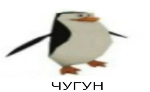 водная птица птица пингвин