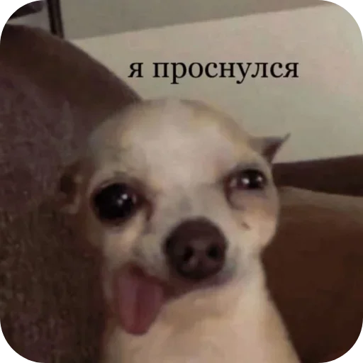 Sticker phMqIhH_by_achestickbot - 1