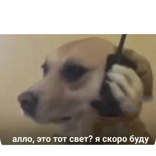 Sticker phMqIhH_by_achestickbot - 1