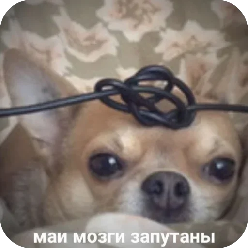 Больше стиков тут: @stikery4 - 