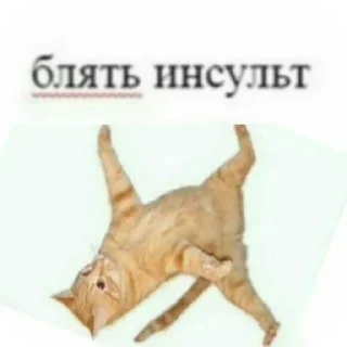 Стикер Больше стиков тут: @stikery4 - 3