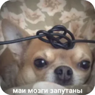 Стикер Больше стиков тут: @stikery4 - 11