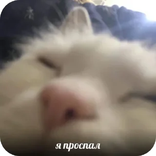 Стикер Больше стиков тут: @stikery4 - 8