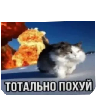 Стикер Больше стиков тут: @stikery4 - 6