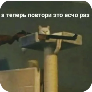 Стикер Больше стиков тут: @stikery4 - 5