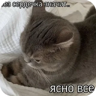Стикер Больше стиков тут: @stikery4 - 7