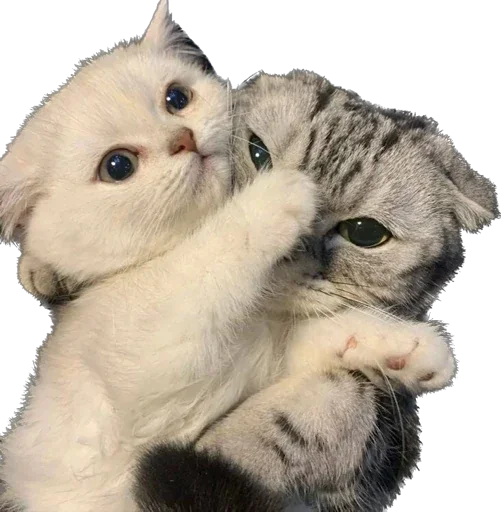 Sticker piapsoso - 1